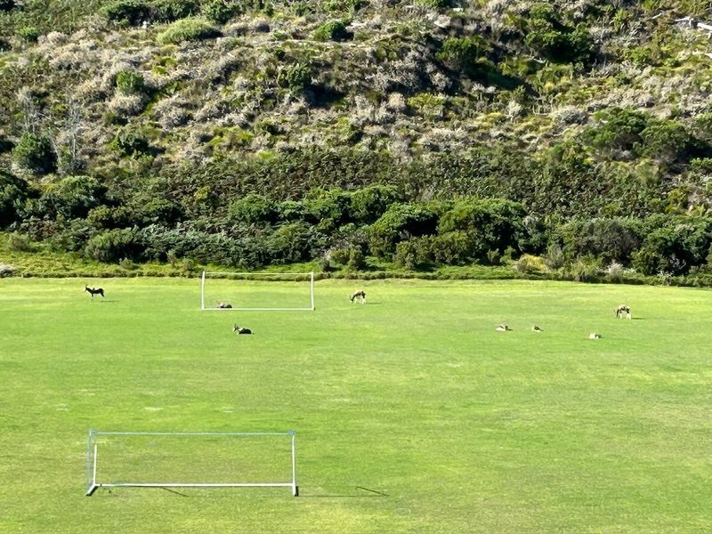 NEW RELEASE : Phase 3 Plots - Photo 7