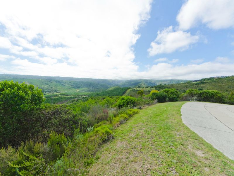 NEW RELEASE : Phase 3 Plots - Photo 3