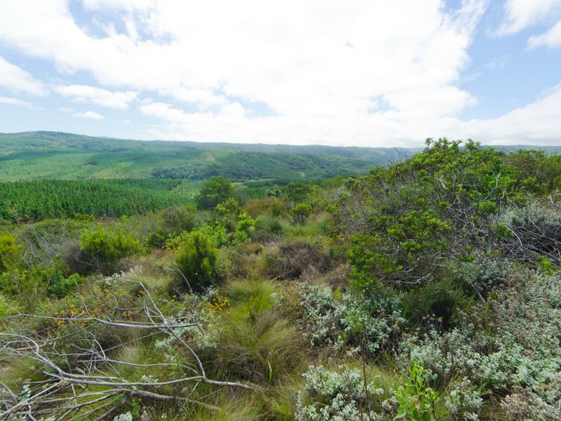 NEW RELEASE : Phase 3 Plots - Photo 2