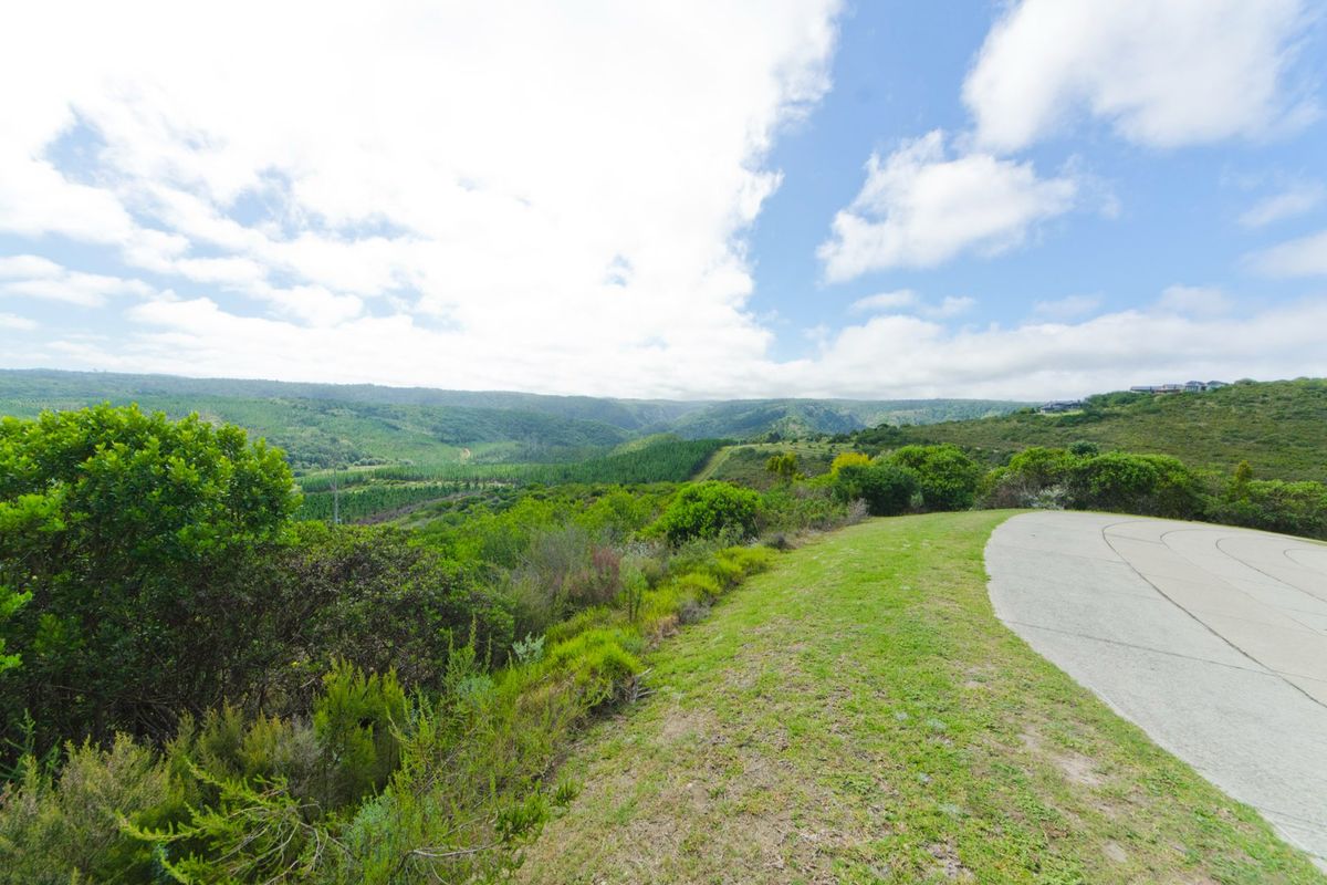 Expansive elevated view overlooking a lush green valley and rolling hills, featuring a paved driveway edge in the foreground.