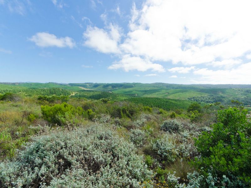 NEW RELEASE : Phase 3 Plots - Photo 1