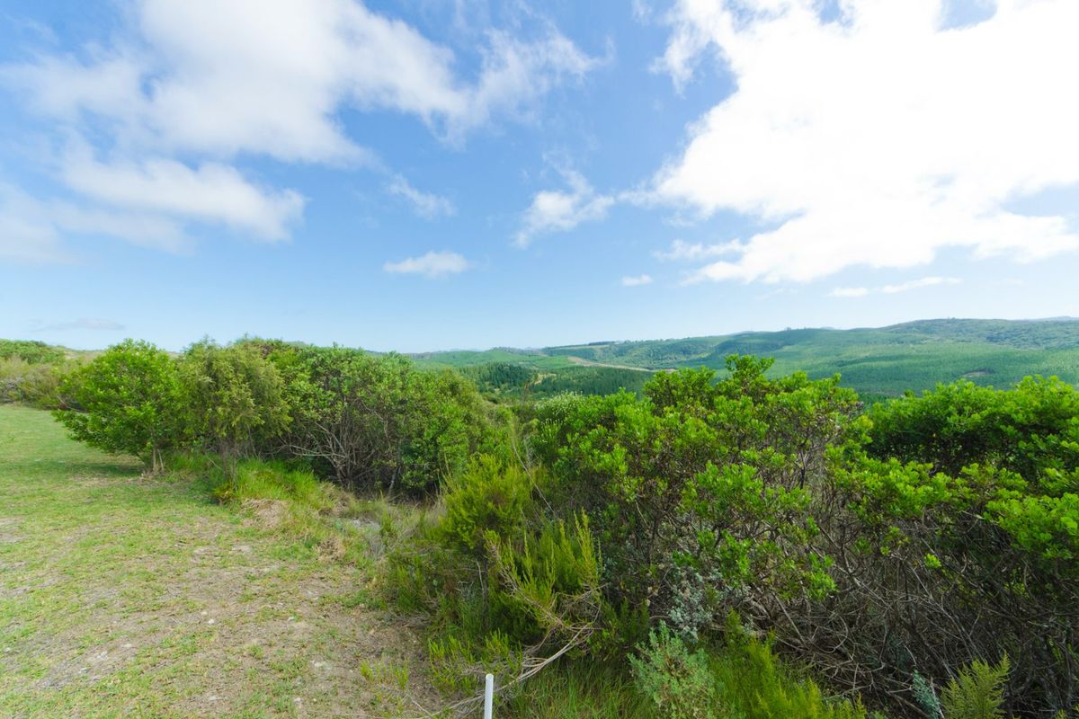 A scenic view of the surrounding landscape, featuring rolling hills and native vegetation on this vacant residential land plot.