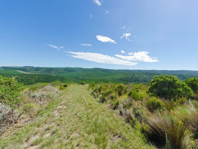 NEW RELEASE : Phase 3 Plots - Photo 4