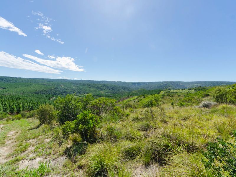 NEW RELEASE : Phase 3 Plots - Photo 3