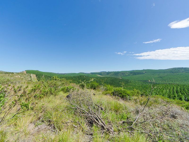 NEW RELEASE : Phase 3 Plots - Photo 2