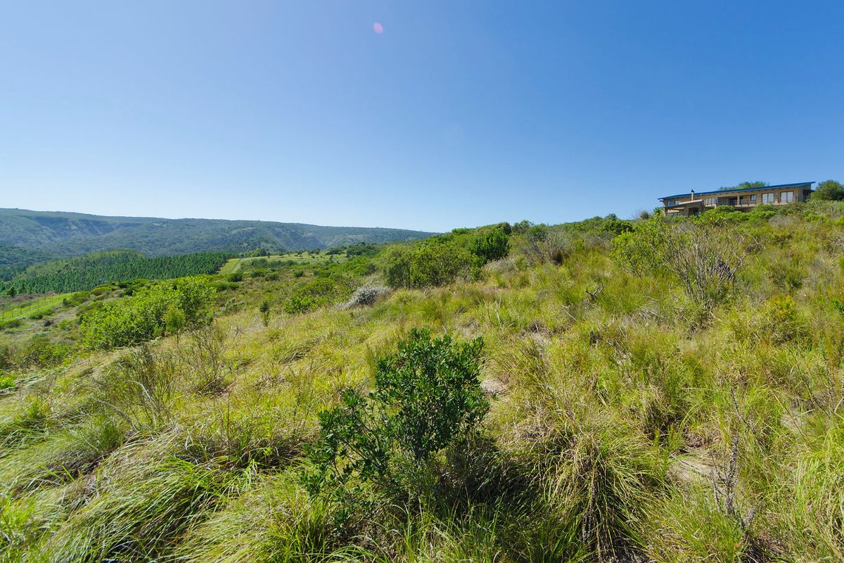 NEW RELEASE : Phase 3 Plots - Photo 5