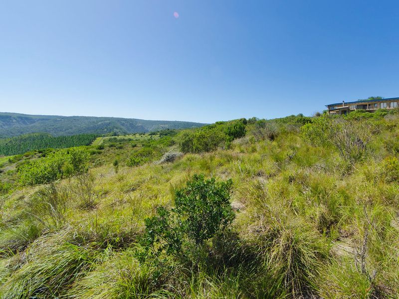 NEW RELEASE : Phase 3 Plots - Photo 5