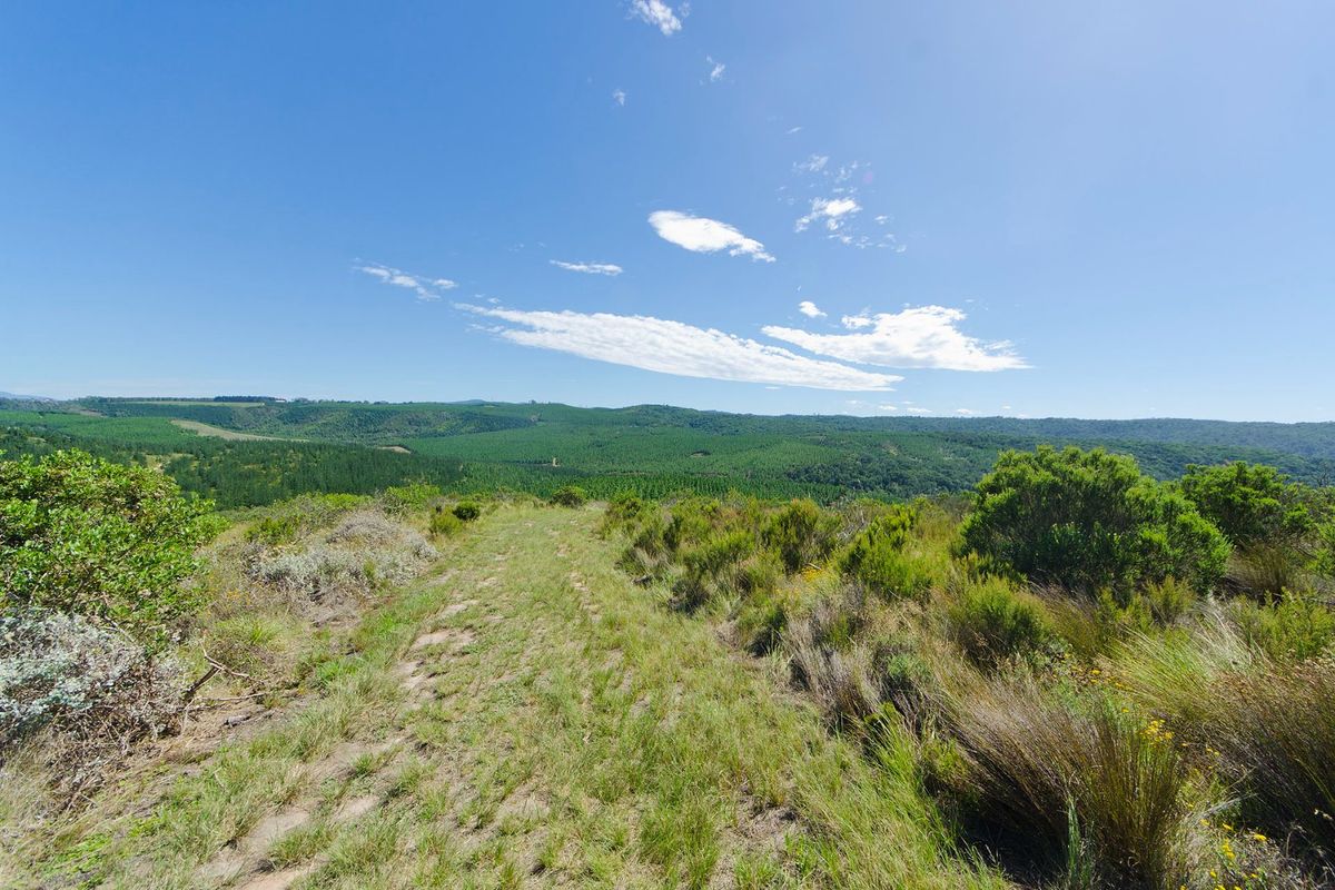 Expansive elevated view overlooking rolling green hills and natural landscape, showcasing the scenic potential of this vacant residential land.