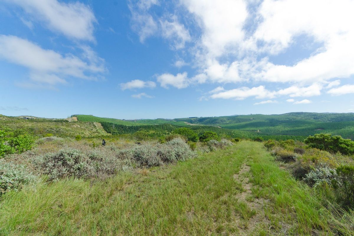 Expansive elevated view overlooking rolling green hills and natural landscape, showcasing the scenic potential of this vacant residential land.