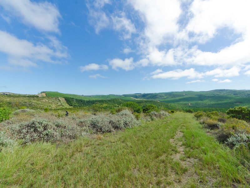NEW RELEASE : Phase 3 Plots - Photo 1