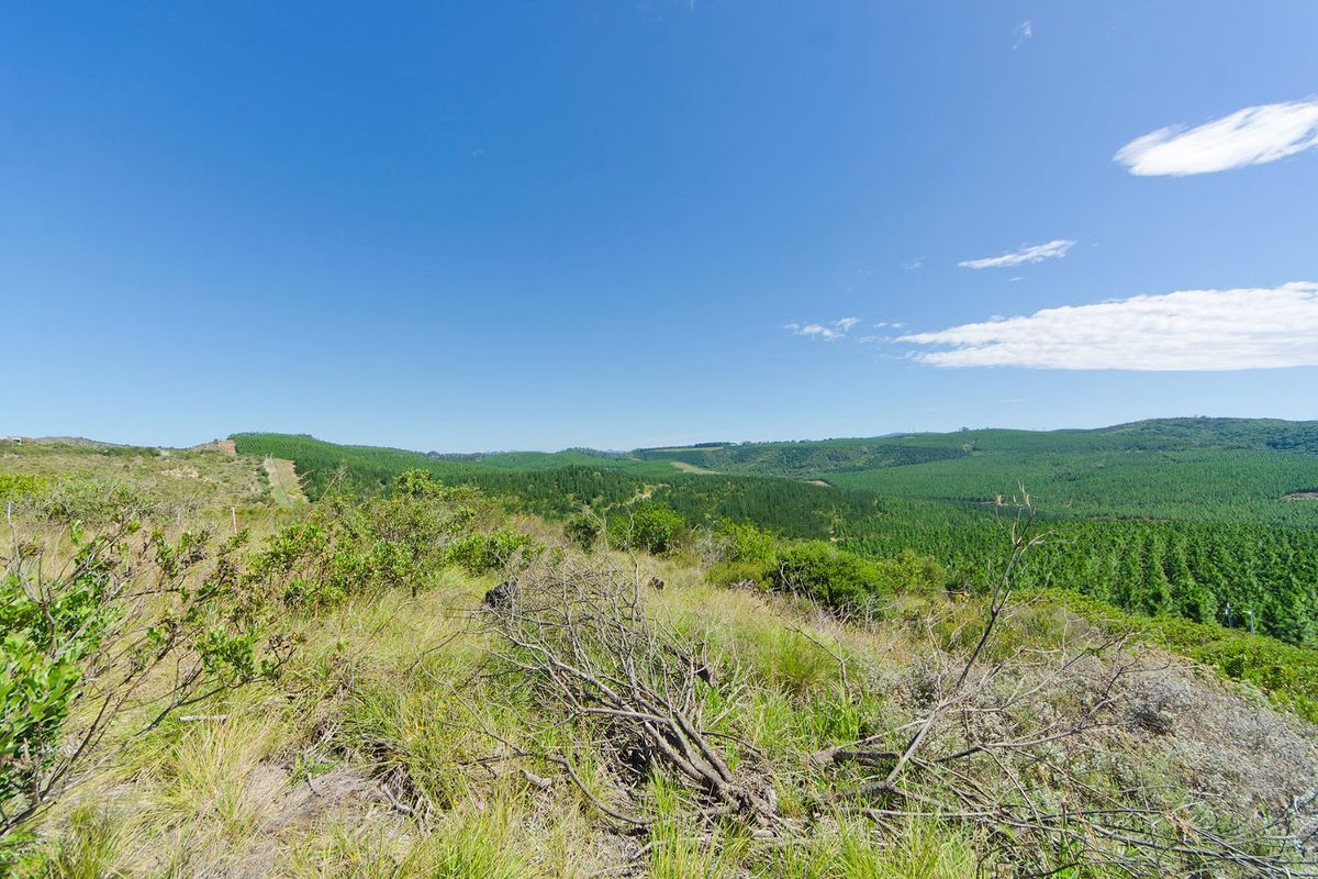A scenic, elevated view overlooking expansive green hills and forested landscape, showcasing the natural beauty of the vacant residential land.