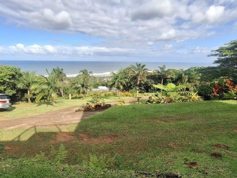 Luxury In Elysium - Photo 6