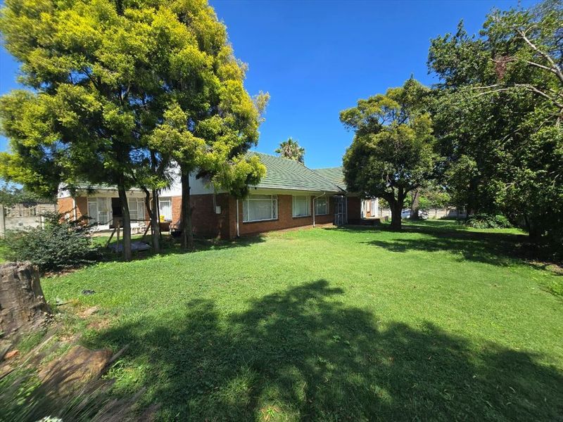 What a Buy - Photo 3