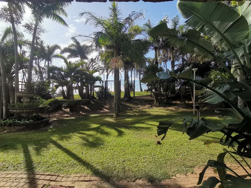 A lush, landscaped garden featuring mature palm trees, a stone fountain, and brick paving, providing a serene outdoor space.