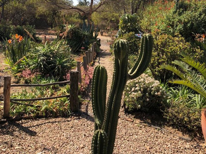A well-maintained garden area featuring a gravel pathway, rustic wooden post fencing, and established succulent and shrub plantings.