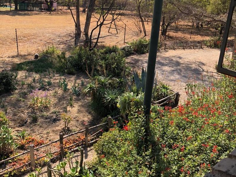 An elevated view overlooking a rural farm garden with established shrubs, gravel driveway, and wire fencing extending into the open landscape.
