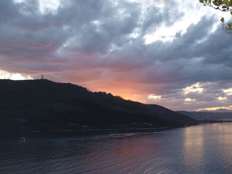 Elevated and with endless views - Photo 9