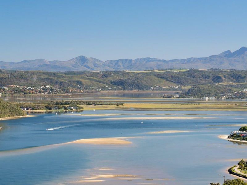 Elevated and with endless views - Photo 7