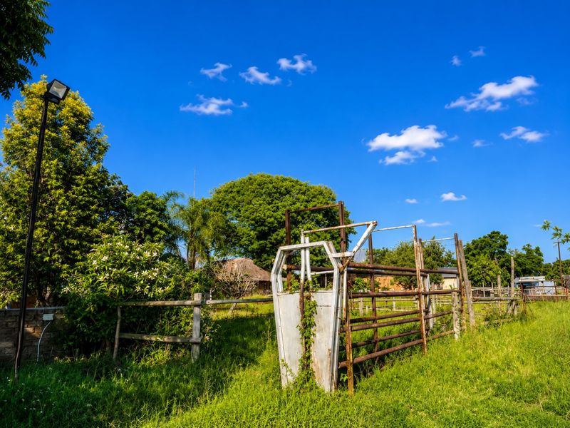 15.64-HECTARE FARM IN VASTFONTEIN - Photo 7