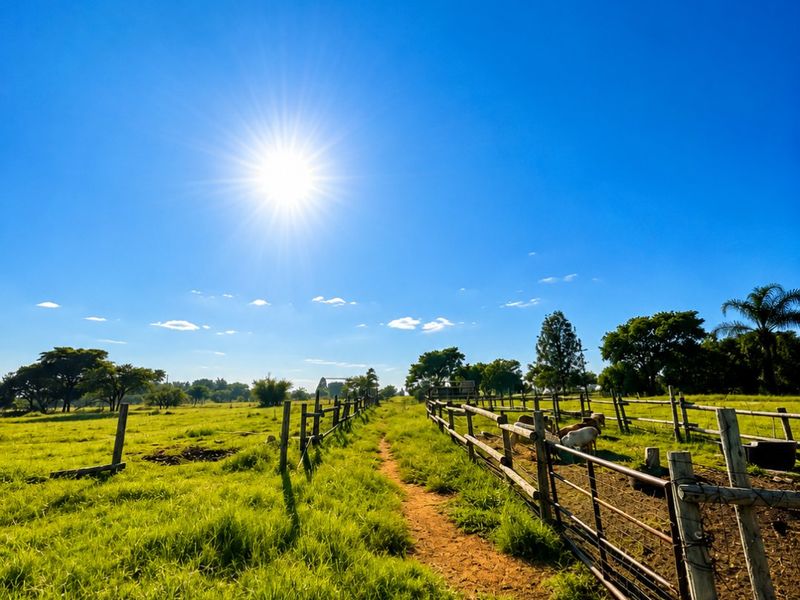 15.64-HECTARE FARM IN VASTFONTEIN - Photo 10
