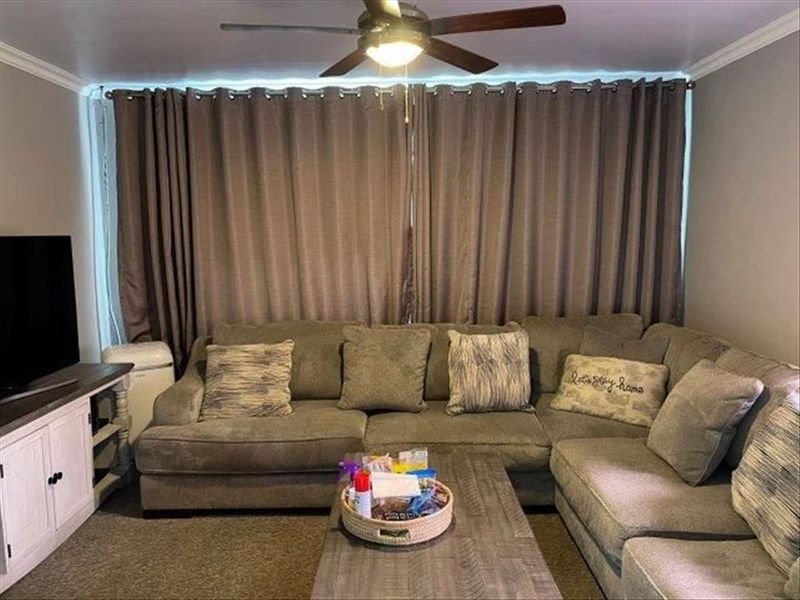 A comfortable living room featuring a ceiling fan and crown molding, providing a functional space for relaxation.
