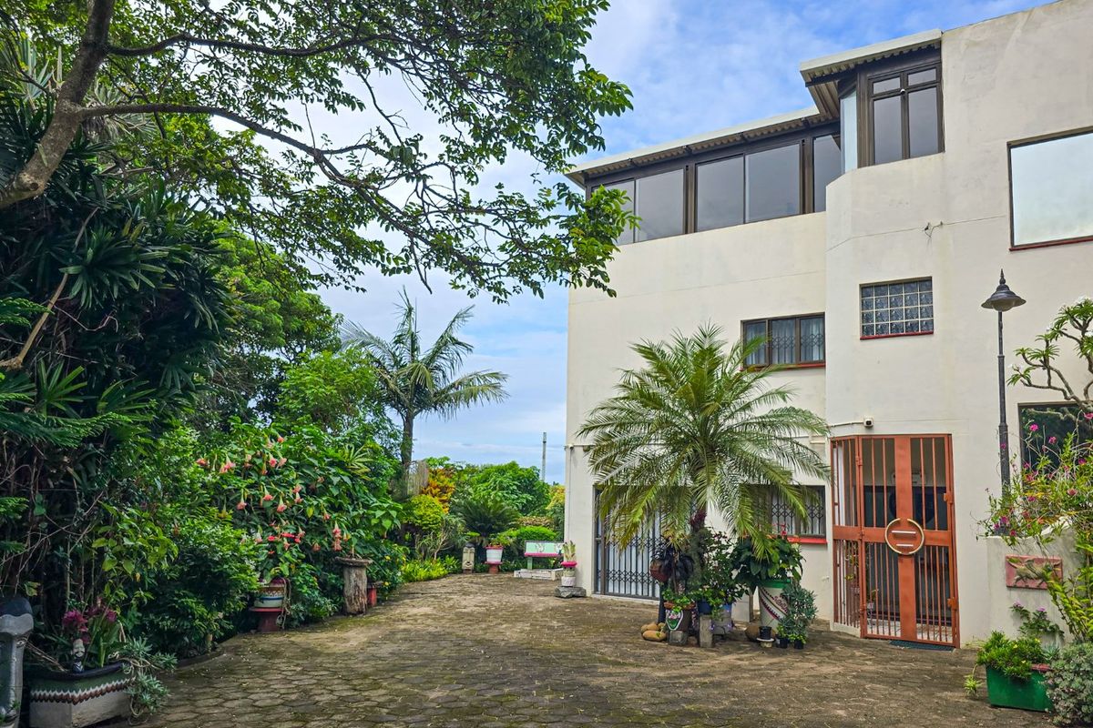 Off The Grid Beachfront Paradise !! - Photo 2