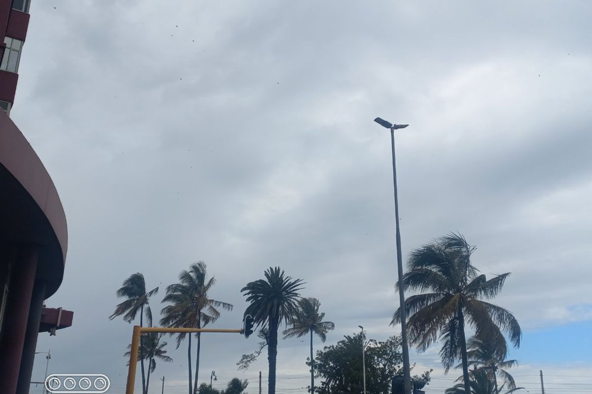 Spacious bachelor apartment in Durban Harboyr - Photo 3