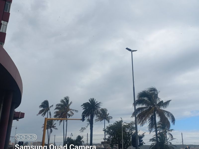 Spacious bachelor apartment in Durban Harboyr - Photo 3