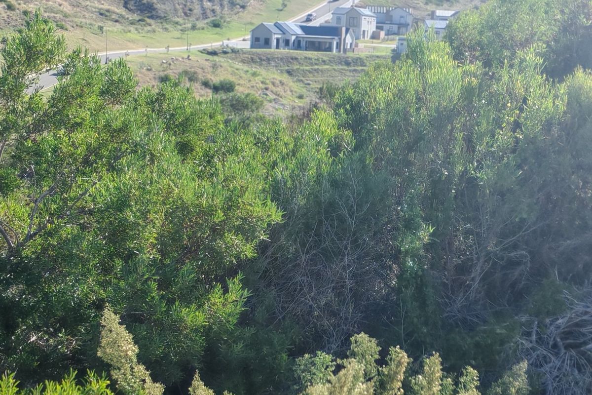 Vacant land with beautiful ocean views near Hartenbos - Photo 5