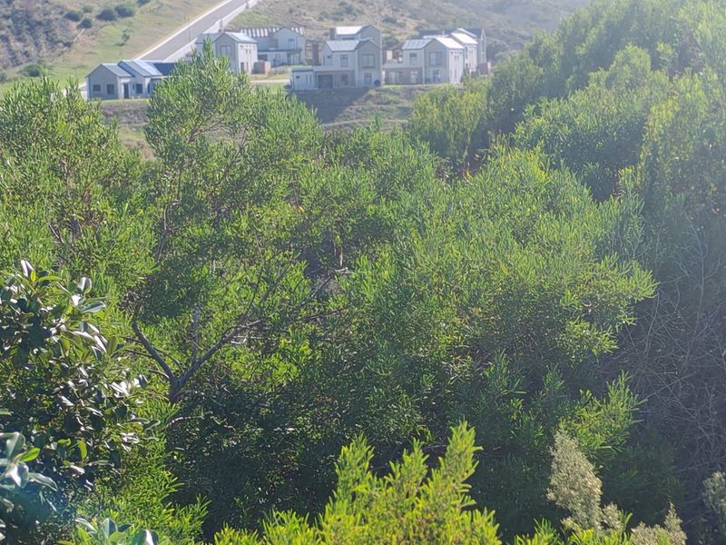 A scenic view overlooking dense native vegetation and sloped terrain, with residential properties visible in the background.