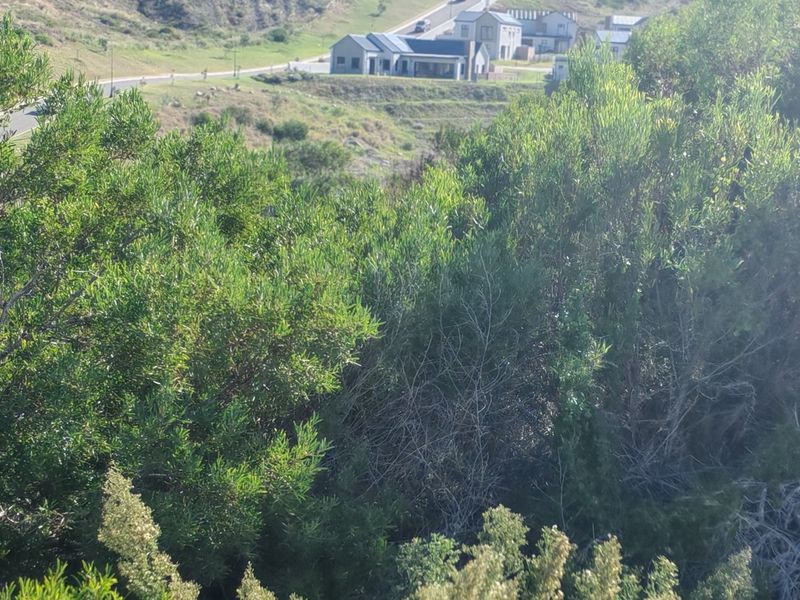 A view of the vacant residential land featuring natural vegetation and sloped terrain with surrounding estate housing visible in the distance.