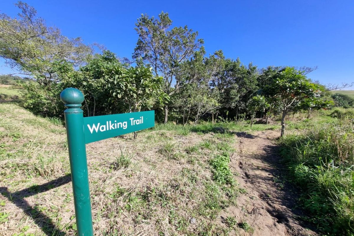 Modern Barn-Style Spec Home in Springvale Country Estate - Photo 5