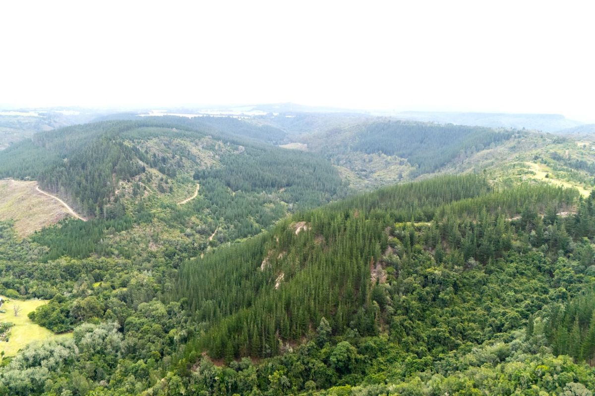 An expansive aerial view showcasing the vast, forested landscape and rolling hills surrounding the property.