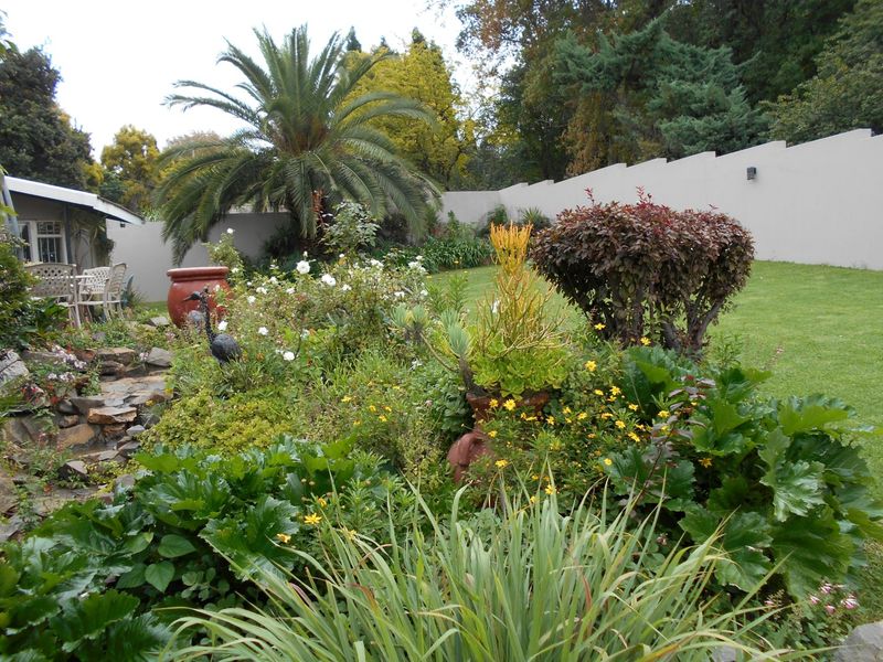 Beautiful 4 Bed home 2x Bathrooms 6 car Parking space with Cottage, Servants Quaters with Full Canadian Solar Panels off the Grid plus Borehole 5000 Litre Jojo Tank-A Steal! - Photo 7