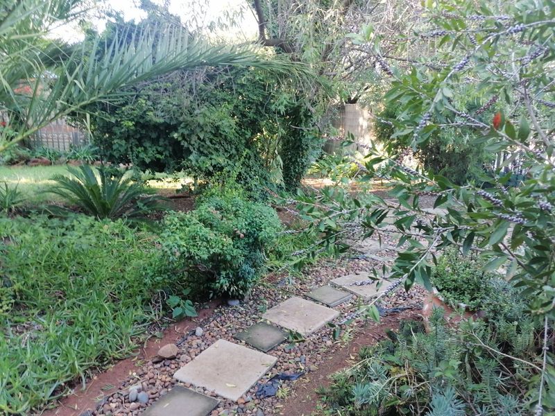 Spacios 3 bedroom family home for sale with a Bachelor Flat in Universitas Bloemfontein - Photo 2