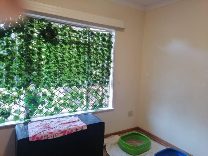 Spacios 3 bedroom family home for sale with a Bachelor Flat in Universitas Bloemfontein - Photo 9
