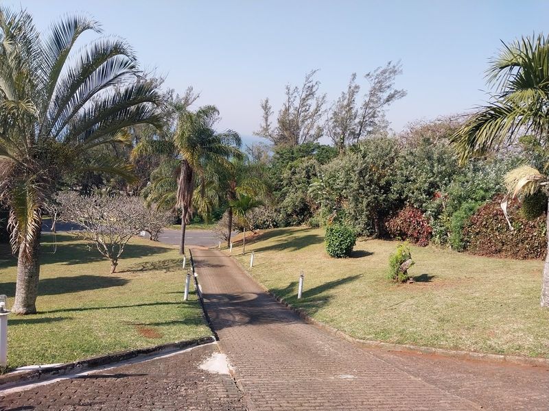 A view of the property's paved driveway leading through a landscaped garden with mature palm trees and established greenery.