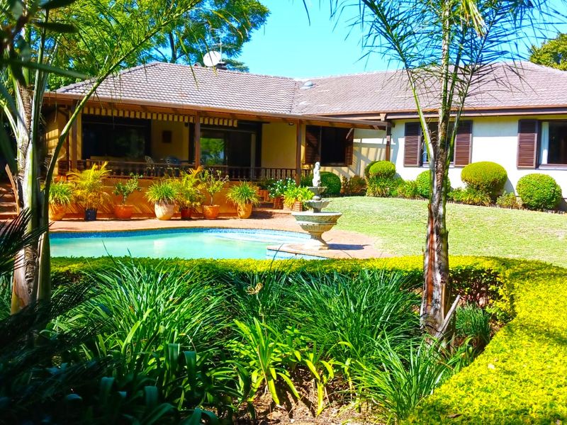 Rear view of the property featuring a swimming pool, covered patio area, and a well-maintained garden with a central water fountain.