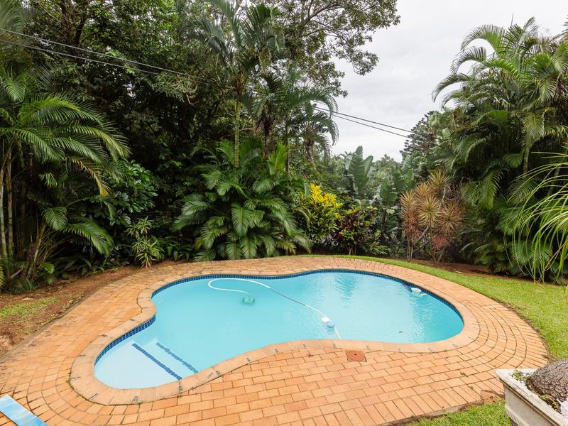 Beautiful Family Residence Recently Renovated - Set In The Picturesque Village Of Southbroom. - Photo 3