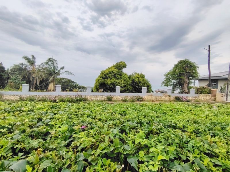 Three properties for the price of one. - Photo 8