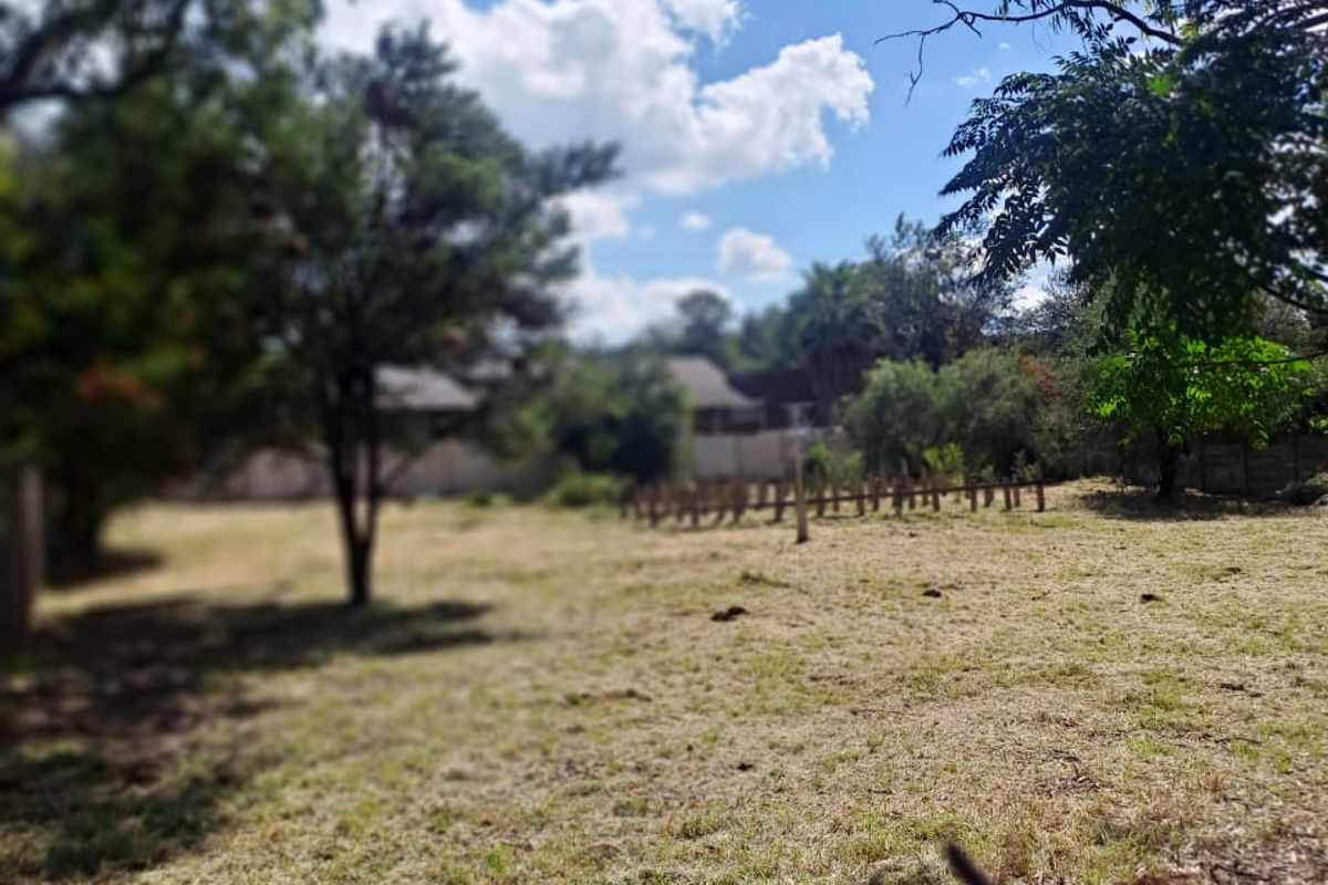 A view of a vacant residential plot featuring established trees and a grass lawn, offering potential for future development.