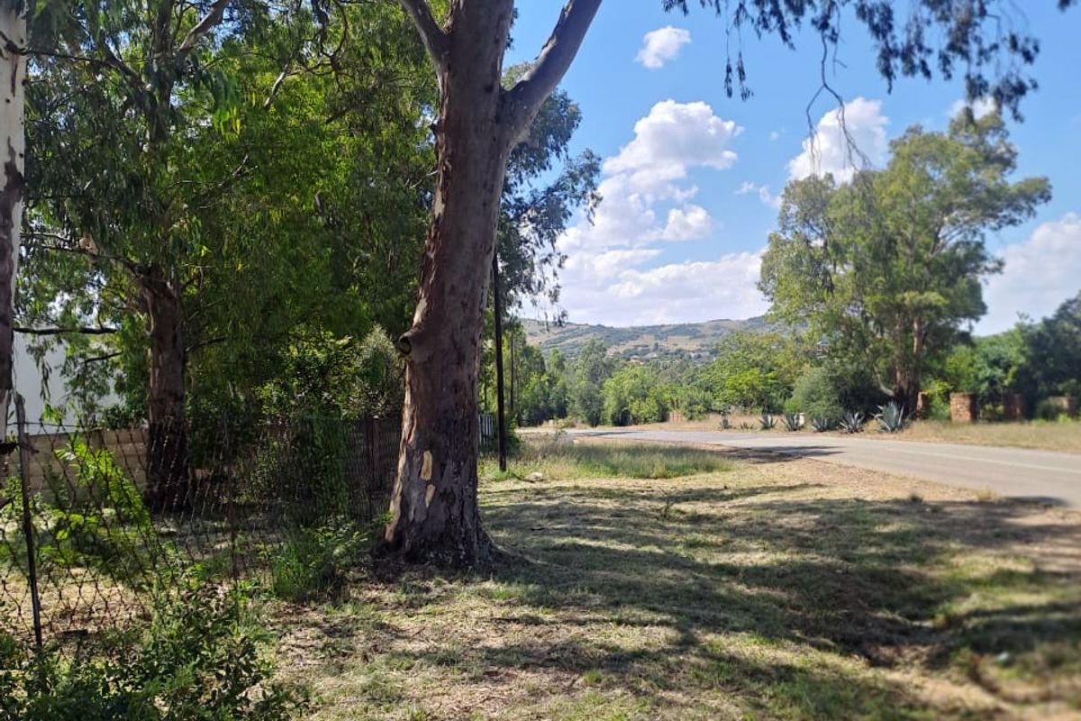 A view of the street frontage featuring mature trees, wire fencing, and a paved road, showcasing the natural landscape of the vacant residential land.