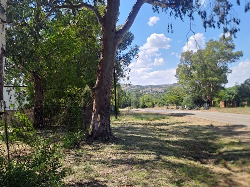 A view of the street frontage featuring mature trees, wire fencing, and a paved road, showcasing the natural landscape of the vacant residential land.