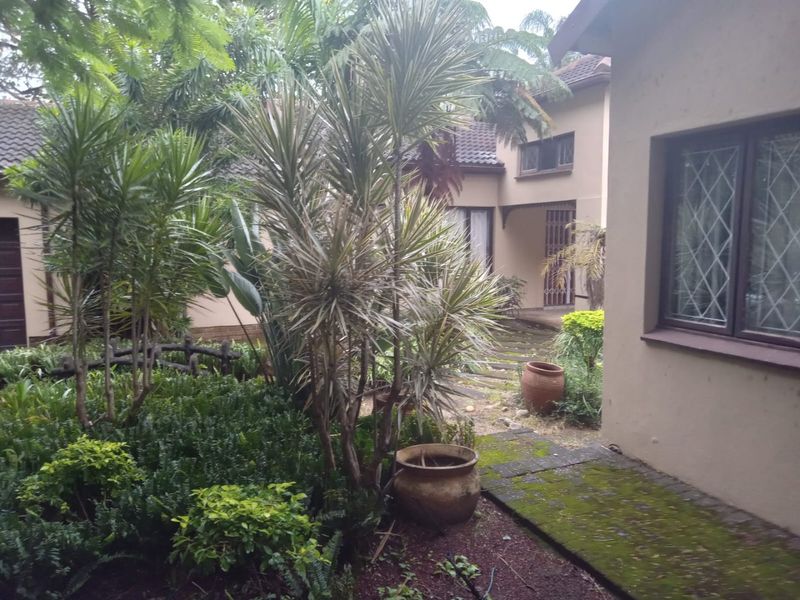 A view of the rear garden area featuring a paved walkway, mature landscaping, and leaded glass windows on the exterior facade.