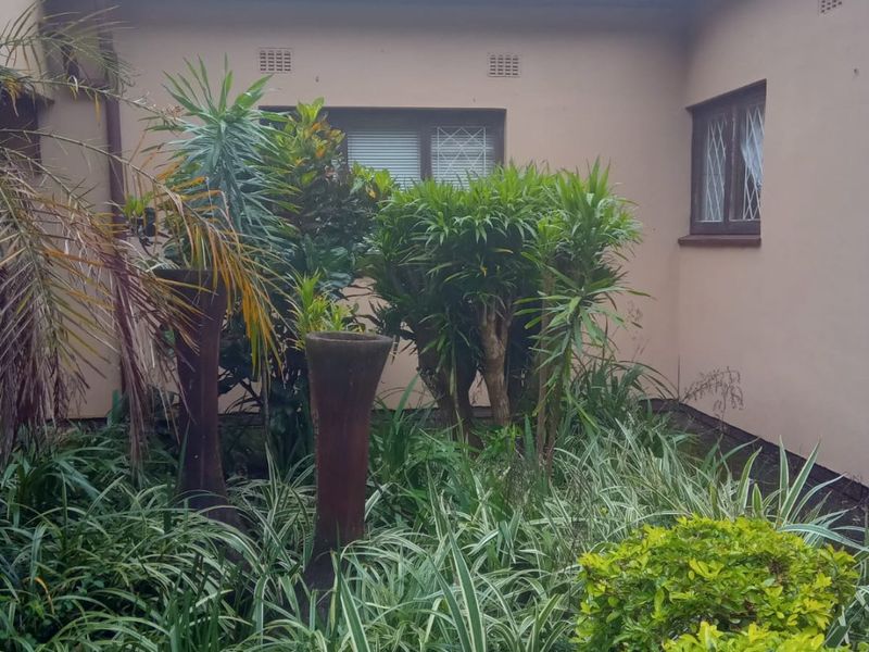 A view of the rear exterior wall of the house featuring plastered finishes, tiled roofing, and security-fitted windows overlooking a landscaped garden area.