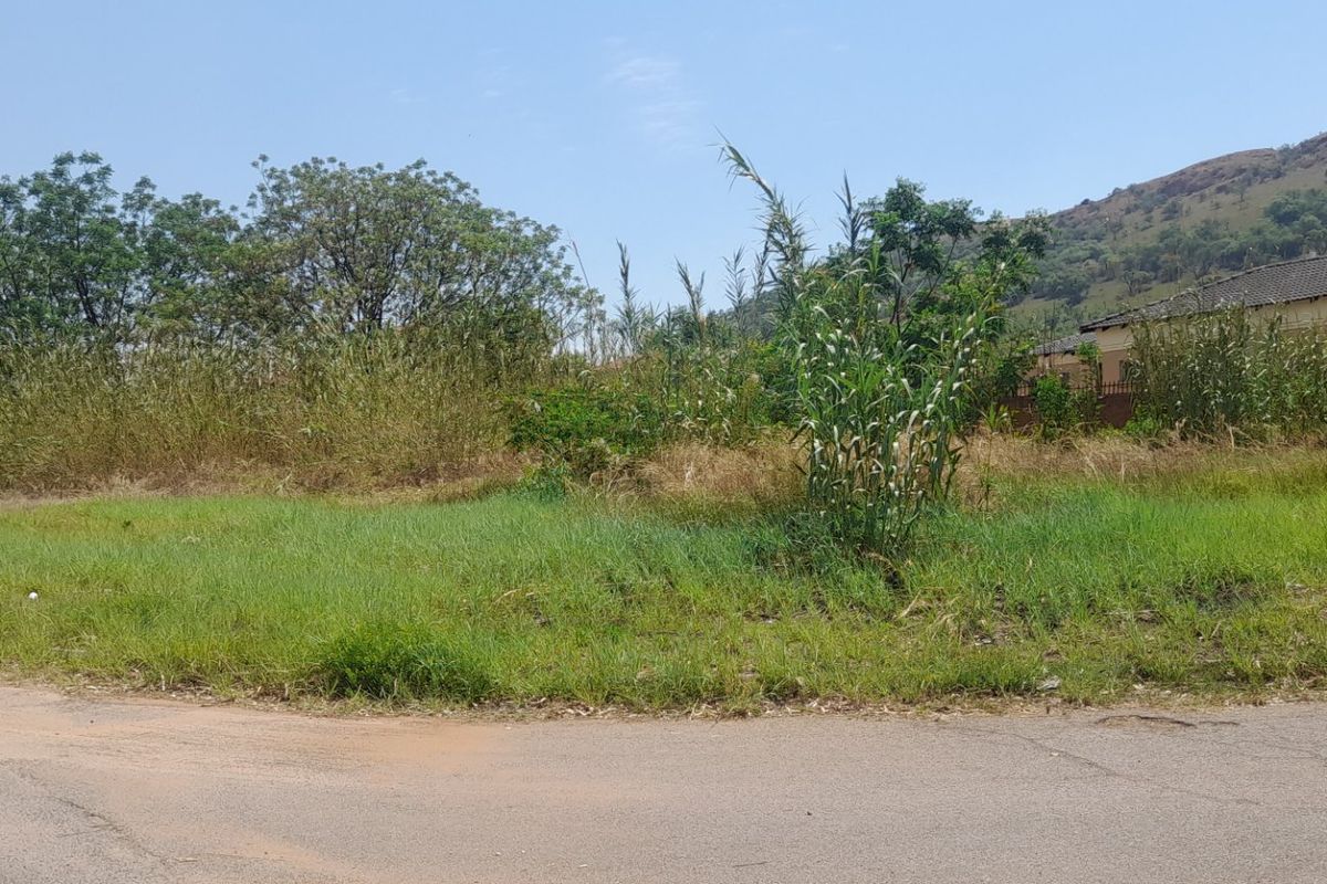 A street-level view of a vacant residential plot featuring a paved road and grass verge with surrounding vegetation.