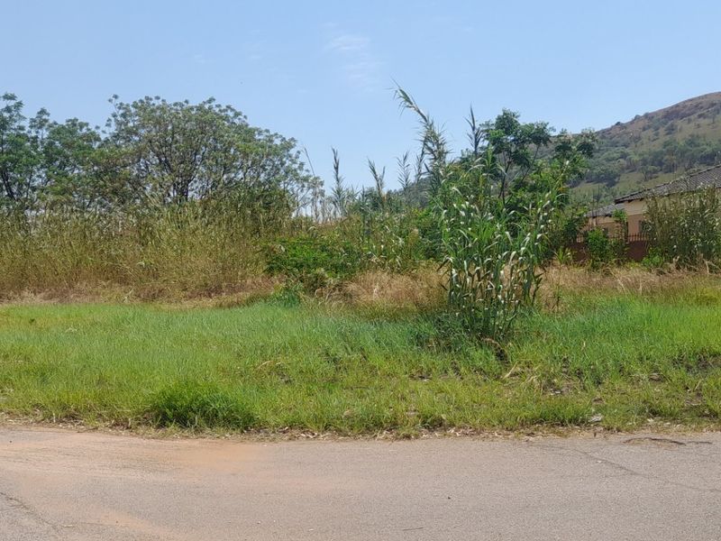 A street-level view of a vacant residential plot featuring a paved road and grass verge with surrounding vegetation.
