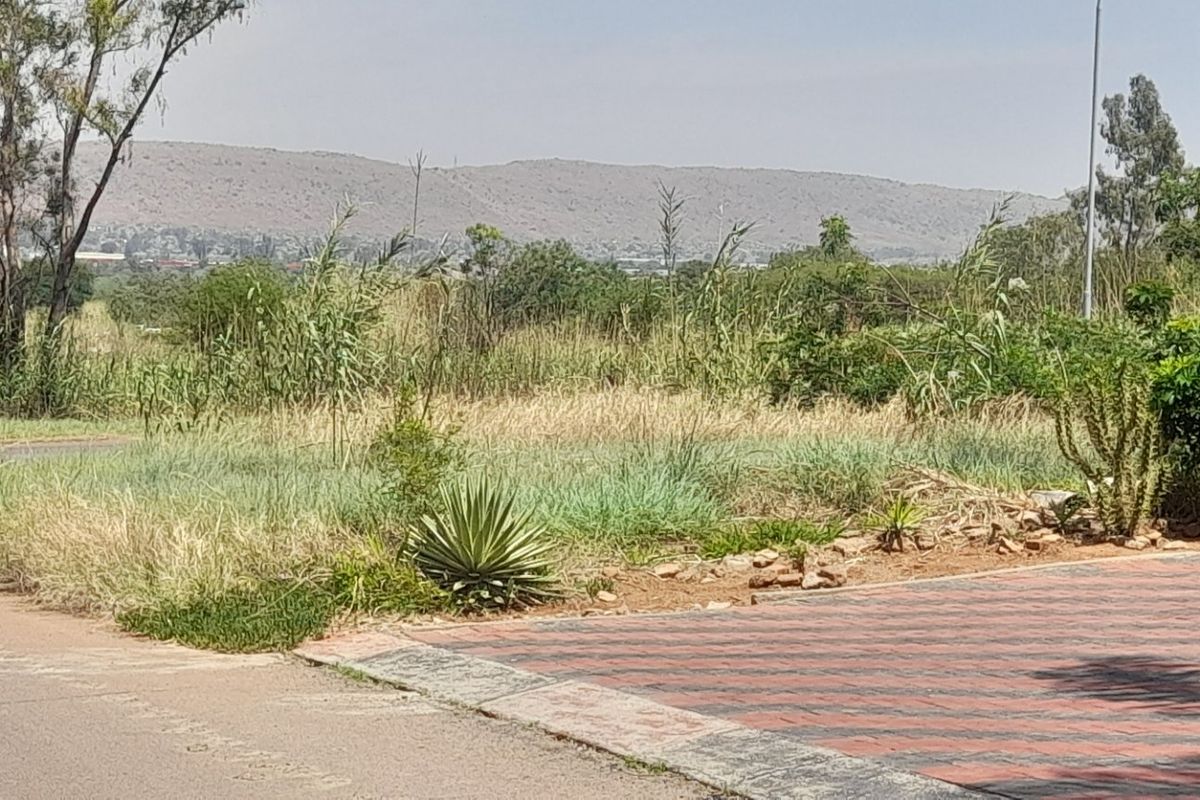 A view of the street frontage and paved driveway entrance leading to a vacant residential plot with natural vegetation and mountain views.