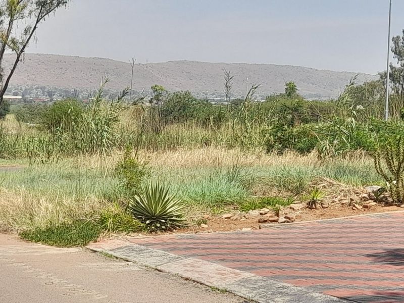 A view of the street frontage and paved driveway entrance leading to a vacant residential plot with natural vegetation and mountain views.