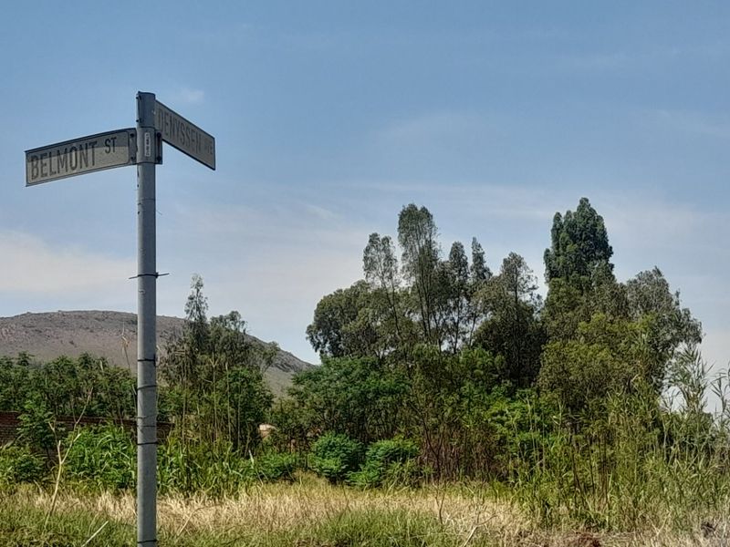 A street view showing the intersection of Belmont Street and Denyssen Avenue, featuring surrounding vegetation and a distant hillside.